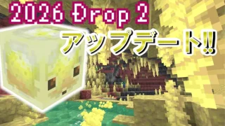 【2026 Drop 2】[カオスキューブ]