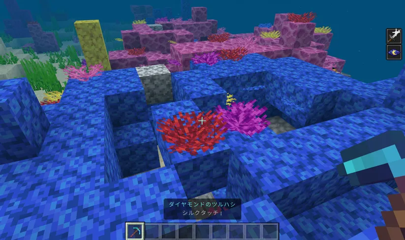 サンゴの取り方 coral