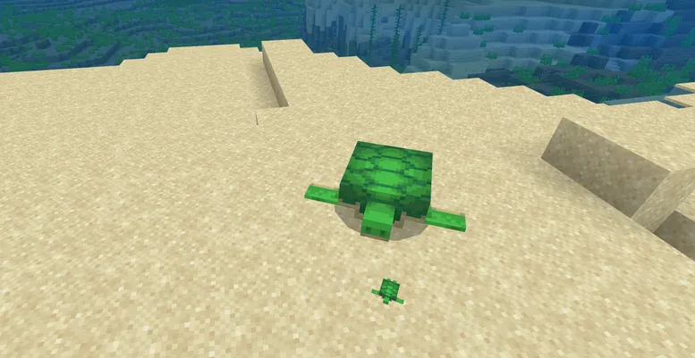ウミガメのスポーンと特徴 turtle