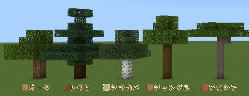 木の種類 育て方 wood_list